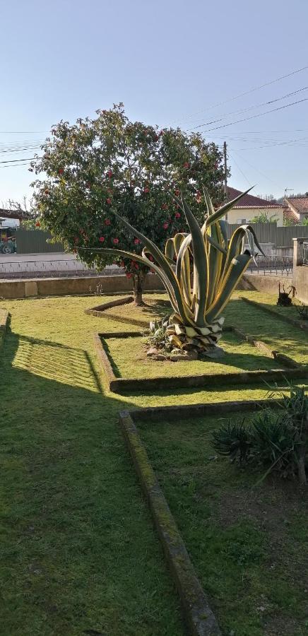 Moradia santa comba Villa Santa Comba Dao Bagian luar foto